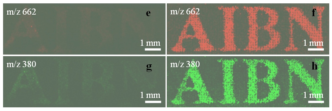 Imaging of stamped invisible micro-patterns of trace amount molecules.
