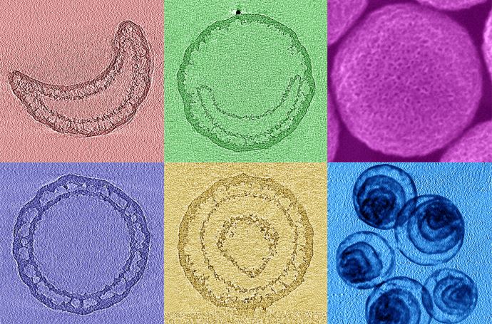 Nanomaterials for energy storage.